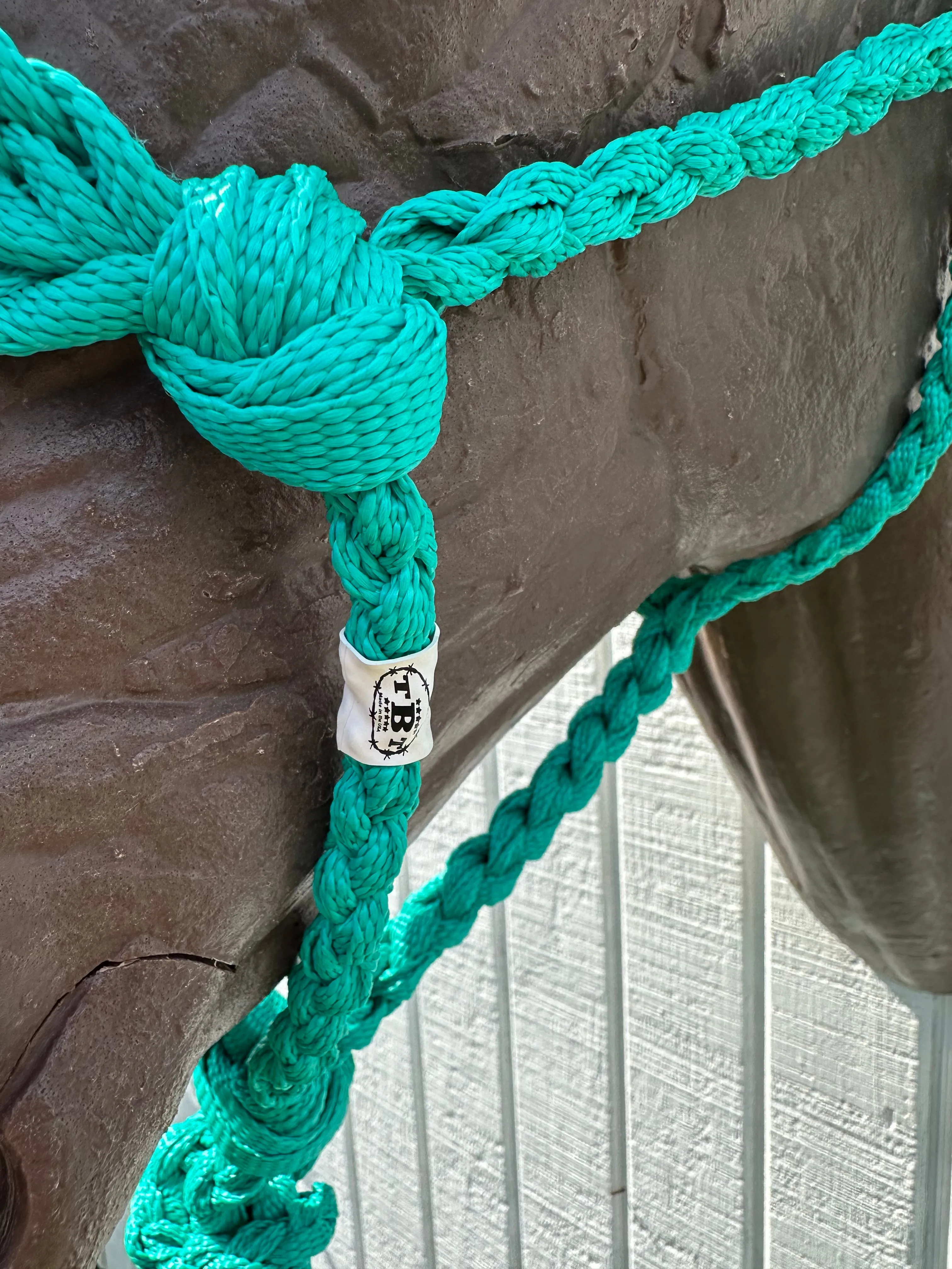 Green turquoise Braided mule tape horse halter with flat noseband